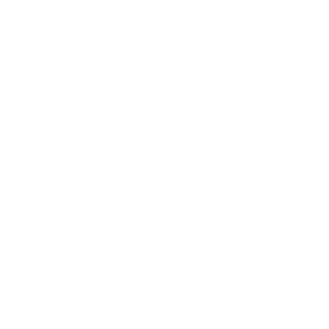 Enzo Sports logo